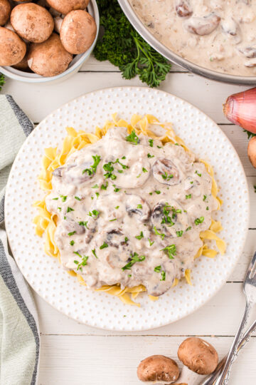 Turkey Stroganoff Pumpkin N Spice