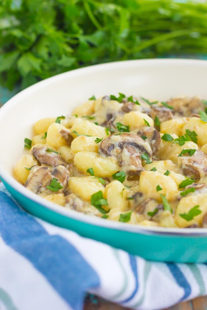 zoomed in shot of gnocchi pasta with cream sauce