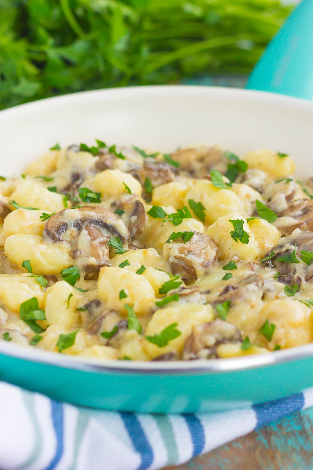 Mushroom Gnocchi (+ Parmesan Garlic Cream Sauce!) Pumpkin 'N Spice