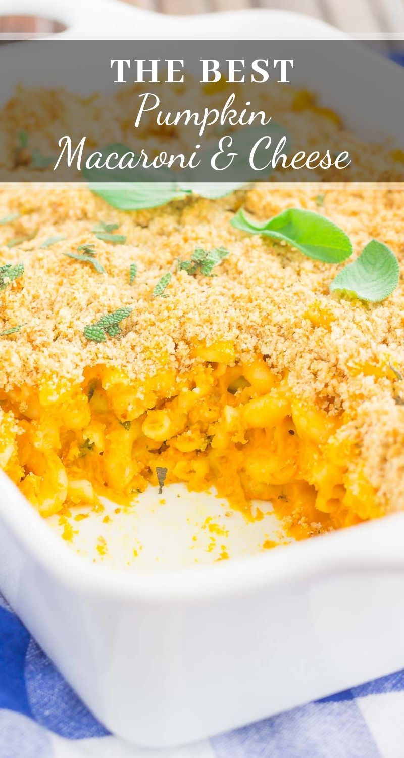 Pumpkin Mac And Cheese {So Creamy!} - Pumpkin 'N Spice