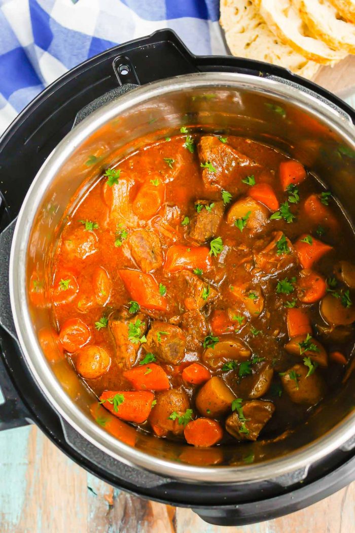 Instant Pot Beef Stew Recipe (Ready in 1 Hour!) - Pumpkin 'N Spice