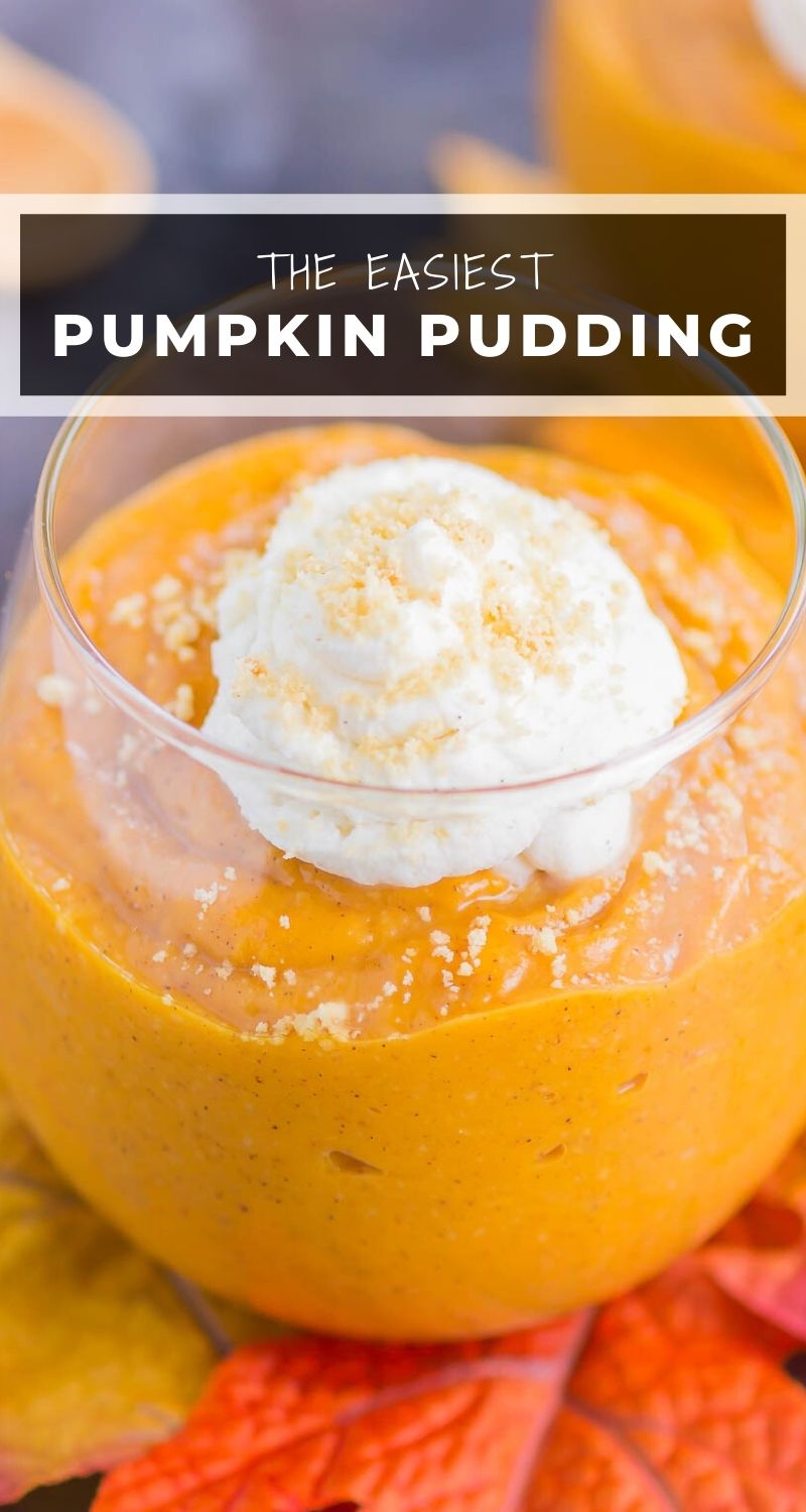 Pumpkin Spice Pudding (5 Ingredients!) - Pumpkin 'N Spice