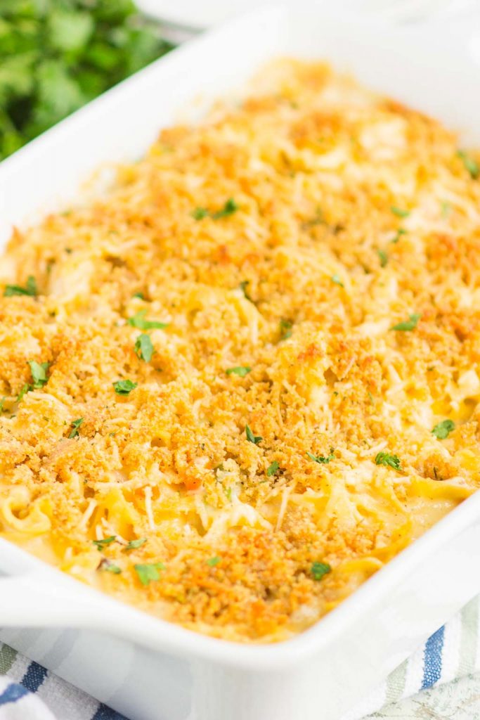 Creamy Chicken and Noodle Casserole - Pumpkin 'N Spice