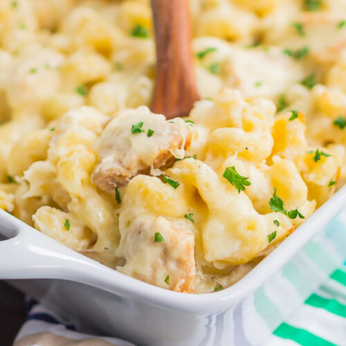 Chicken Alfredo Pasta Bake (Homemade Sauce) - Pumpkin 'N Spice