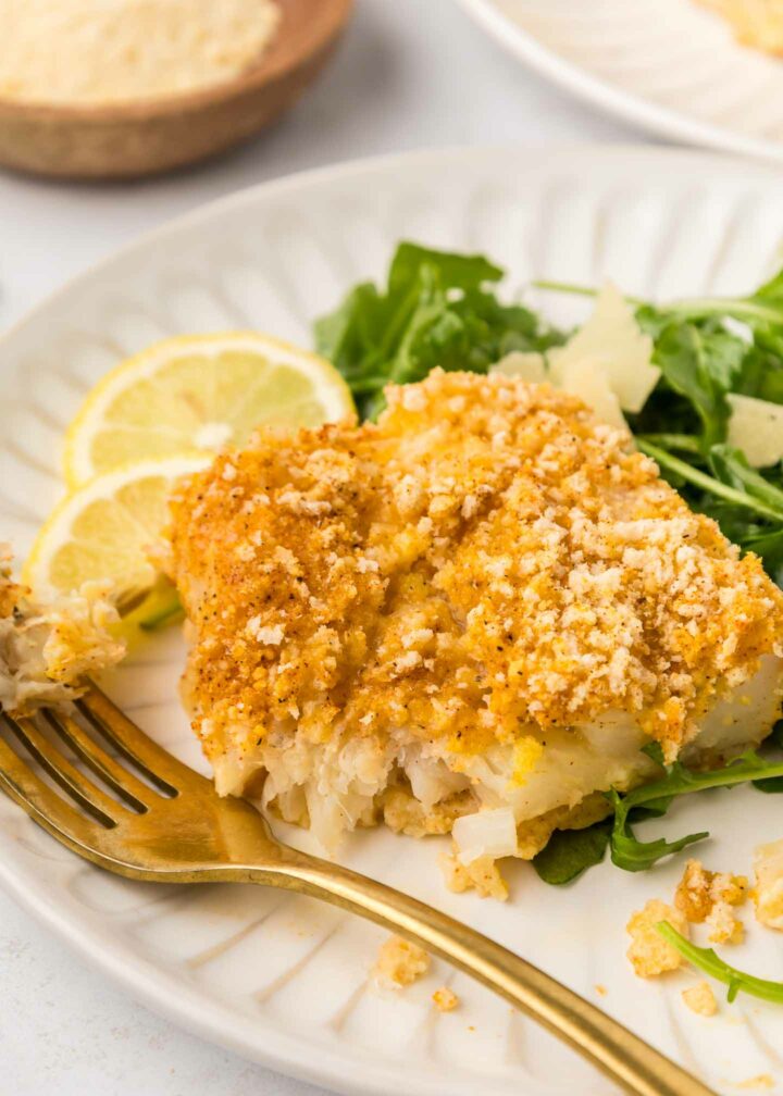 cod plated with a forkful of cod and a green salad