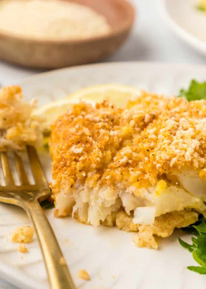 cod plated with a forkful of cod and a green salad