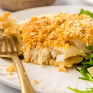 cod plated with a forkful of cod and a green salad